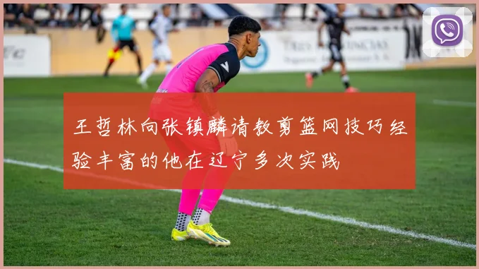 王哲林向张镇麟请教剪篮网技巧经验丰富的他在辽宁多次实践